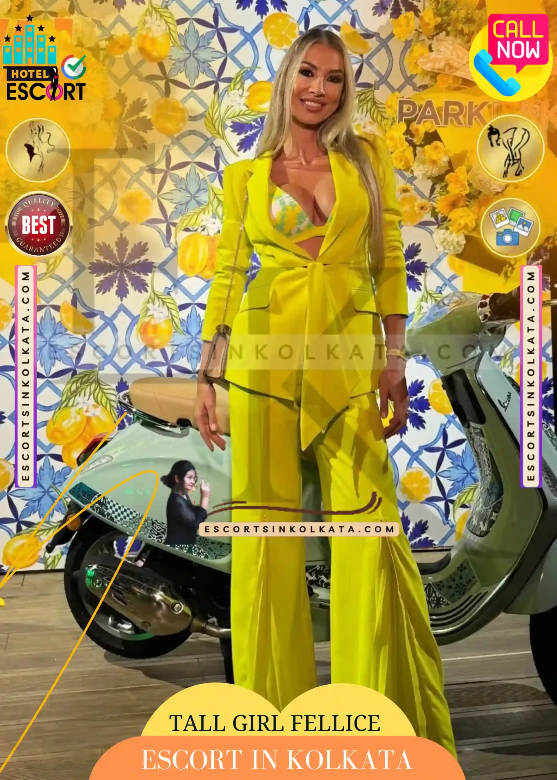 Tall Escort Girl Fellice